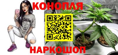 МДПВ Шелехов