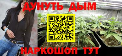 винт Шахты