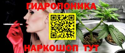 спиды Шебекино