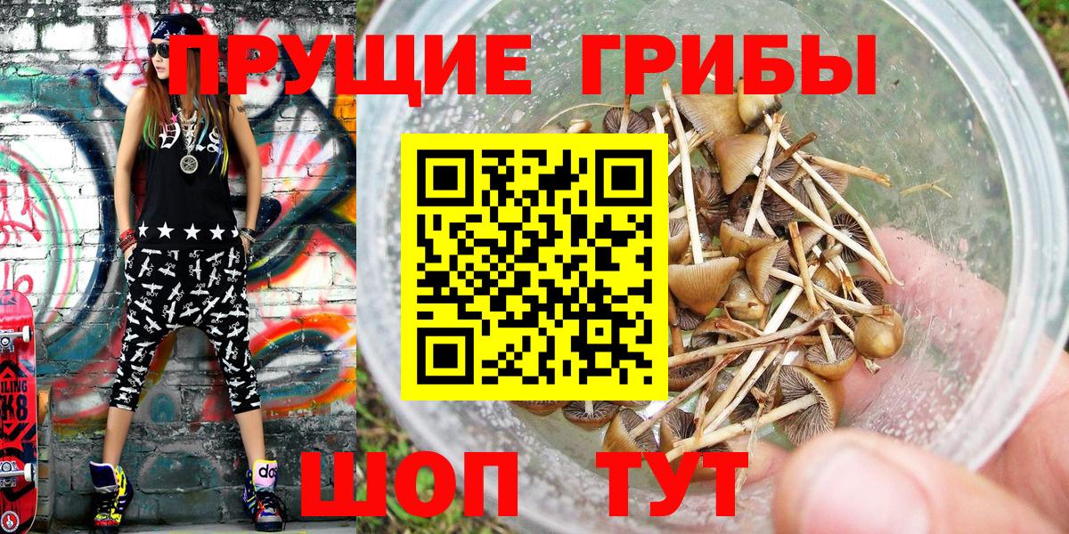 Галлюциногенные грибы Magic Shrooms  Вход с VPN  Бор 